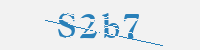 보안문자